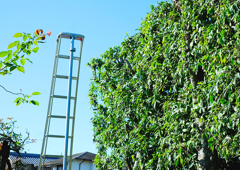 当日の追加料金なしの明朗会計