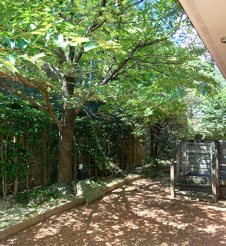 「困った」をなくすおうちのヒーロー